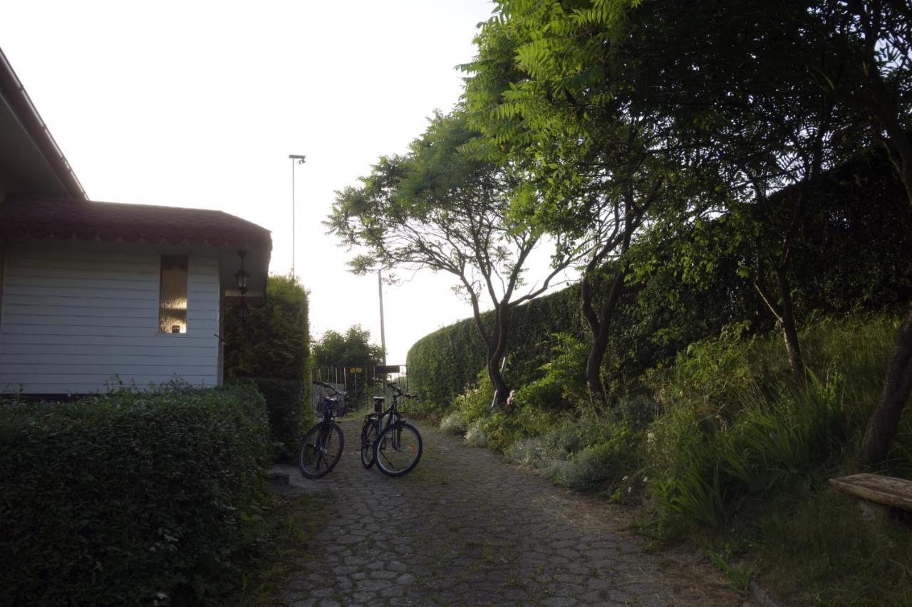 Ferienwohnung U Zbyszka Kamienna Gora Exterior foto
